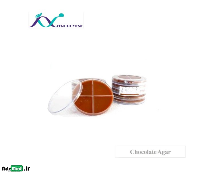 محیط کشت شکلات آگار چهار خانه ۱۰cm زیست رویش