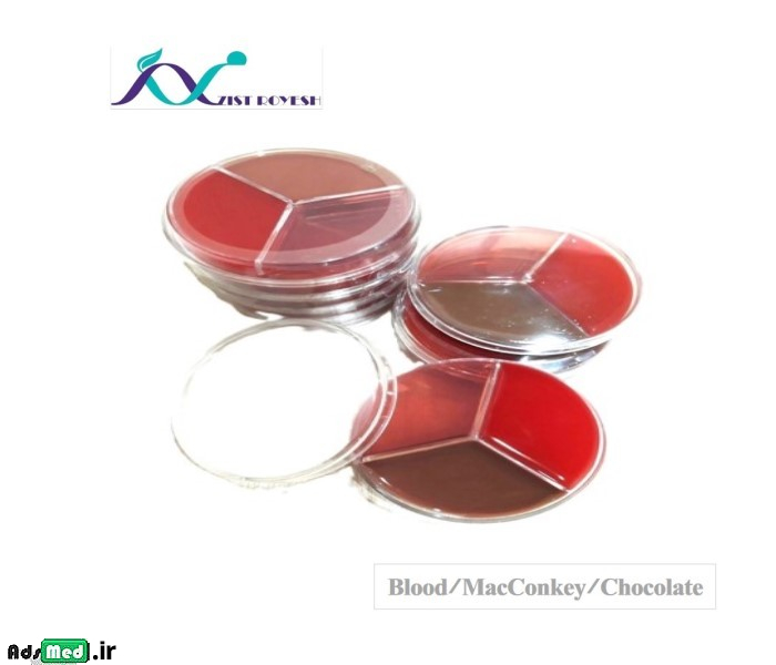 محیط کشت B.A/مکانکی/شکلات (سه قسمتی-۱۰cm) زیست رویش