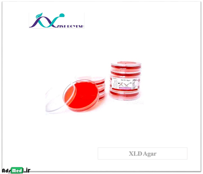 محیط کشت XLD آگار ۶cm زیست رویش