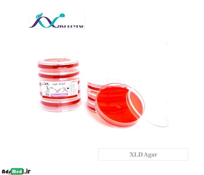 محیط کشت XLD آگار ۸cm زیست رویش