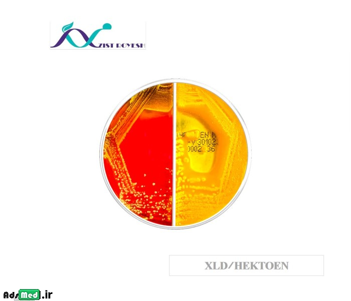 محیط کشت دو قسمتی XLD/هکتون ۸cm زیست رویش