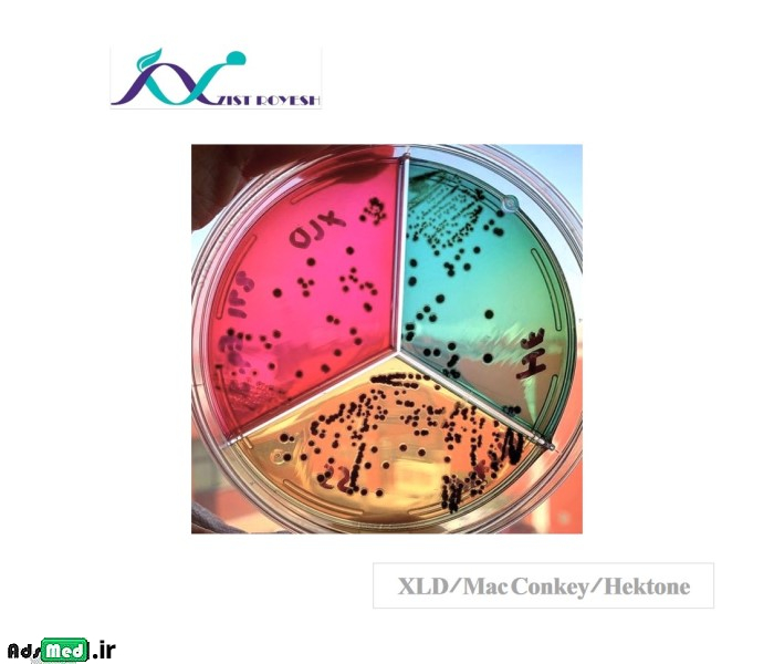 محیط کشت هکتون/مکانکی/XLD (سه قسمتی-۸cm) زیست رویش