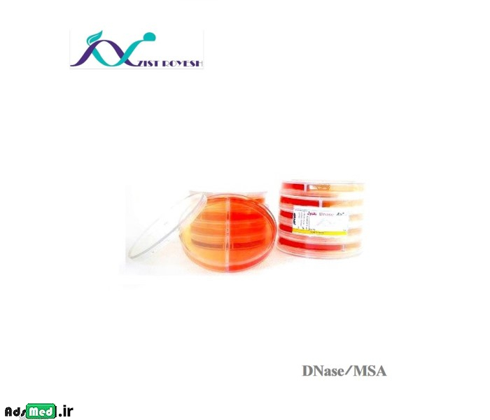 محیط کشت دو قسمتی Dnase/مانیتول ۸cm زیست رویش