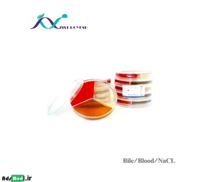 محیط کشت بایل/B.A/نمک ۶.۵ درصد (سه قسمتی-۸cm) زیست رویش