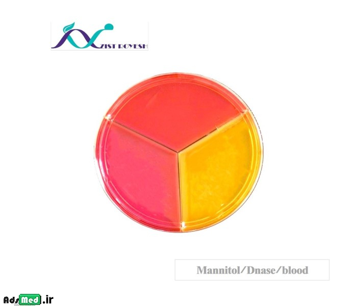 محیط کشت مانیتول/B.A/Dnase (سه قسمتی-۸cm) زیست رویش