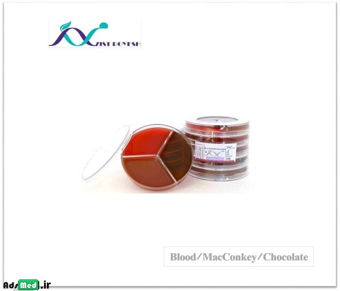 محیط کشت بلاد آگار/مکانکی/شکلات (سه قسمتی-۸cm) زیست رویش