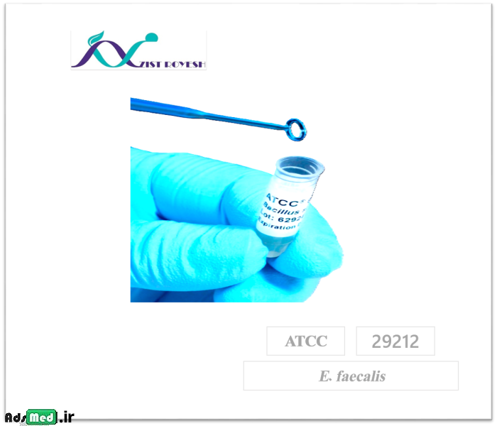 سوش باکتری انتروکوک فکالیس ATCC 29212 Ent.faecalis + محیط غنی کننده TSB