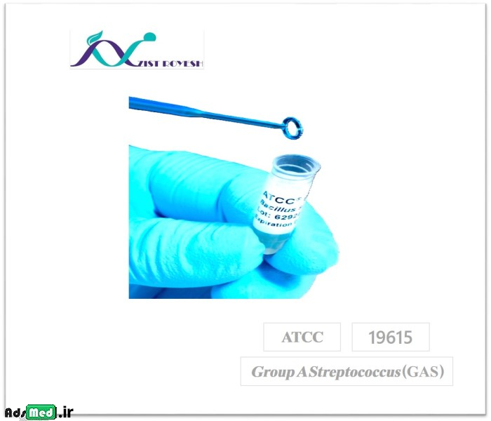 سوش باکتری استرپتوکوک ATCC 19615 Streptococcus group A strep + محیط غنی کننده TSB