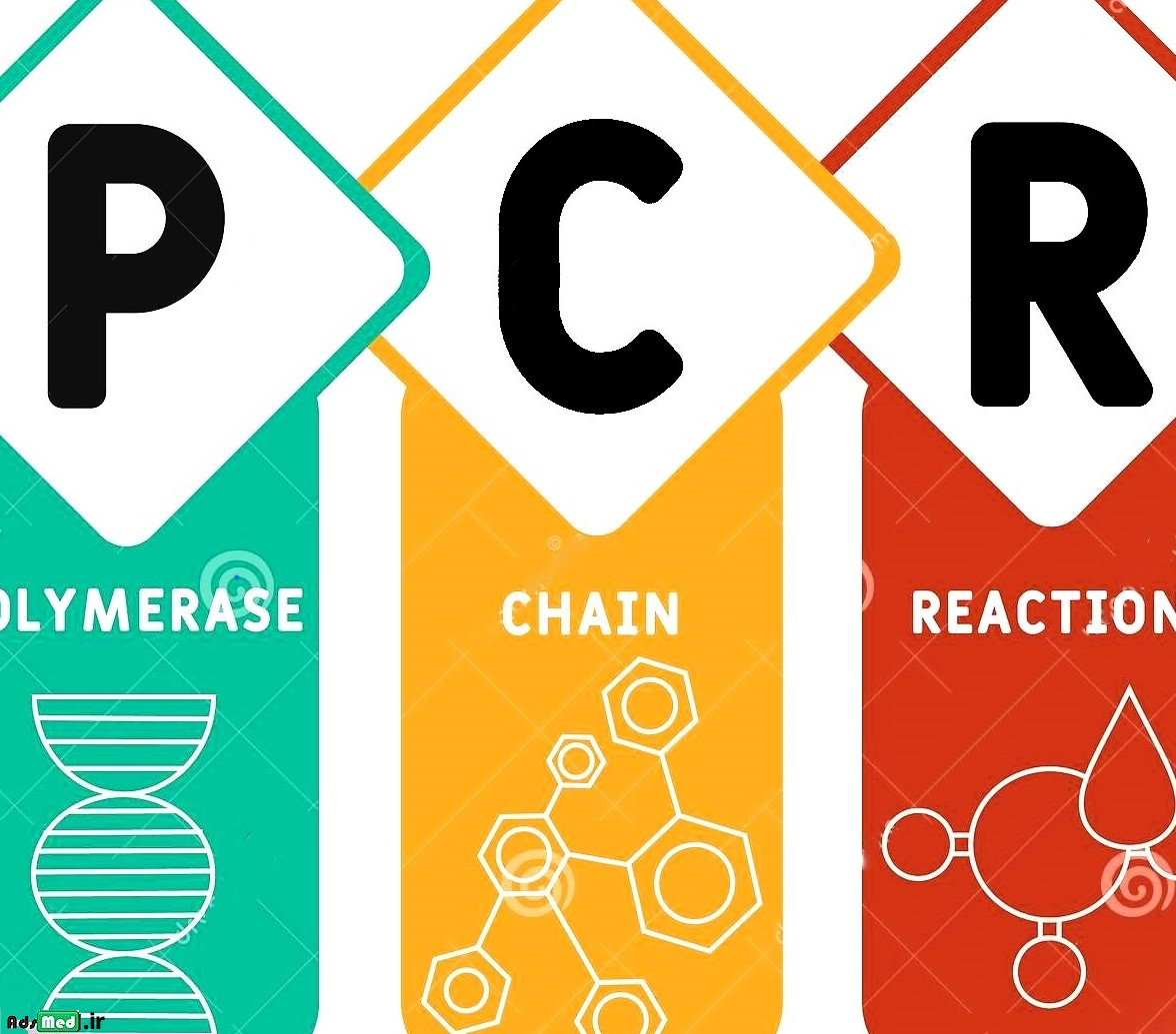 تست PCR : اصول ، مراحل ، کاربرد ، مزیت ها ، محدودیت ها و انواع آن