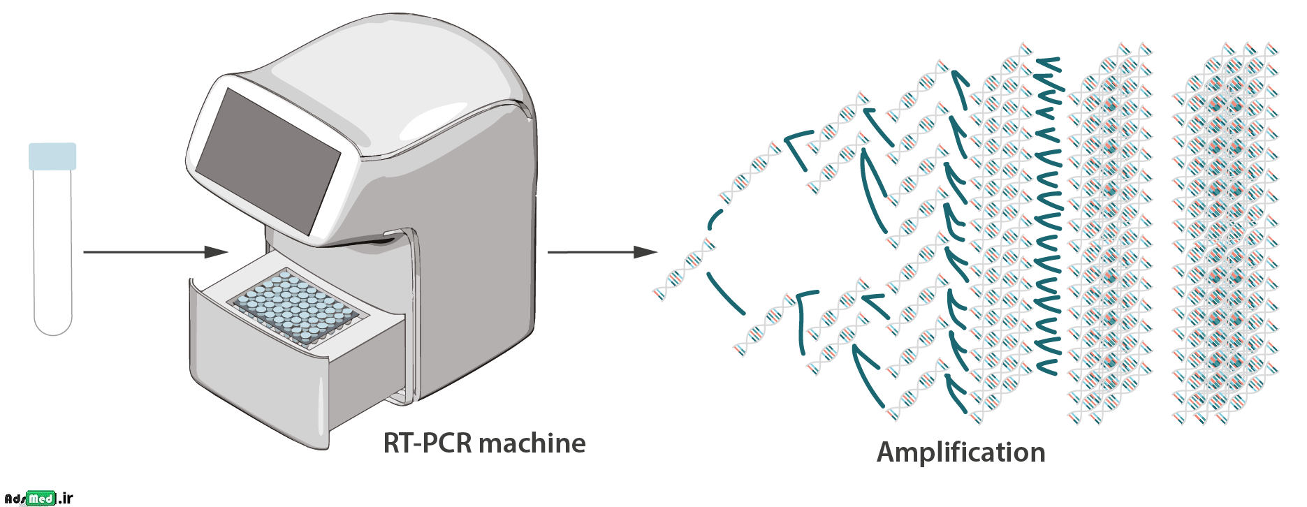 تست PCR : اصول ، مراحل ، کاربرد ، مزیت ها ، محدودیت ها و انواع آن