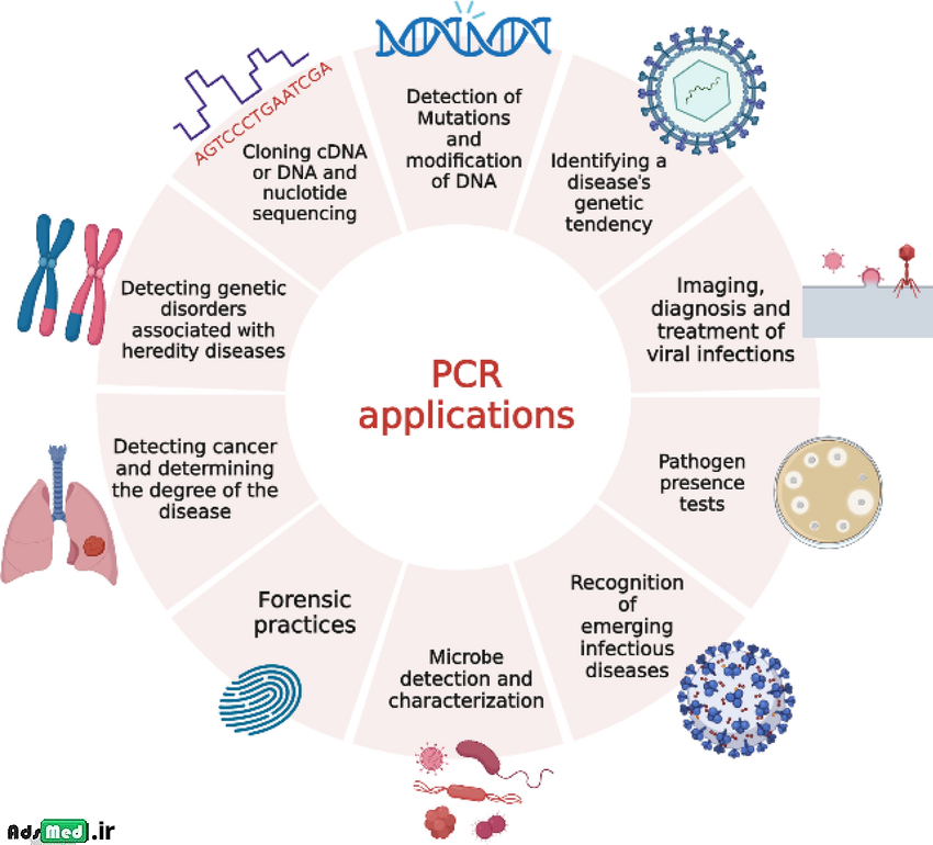 تست PCR : اصول ، مراحل ، کاربرد ، مزیت ها ، محدودیت ها و انواع آن