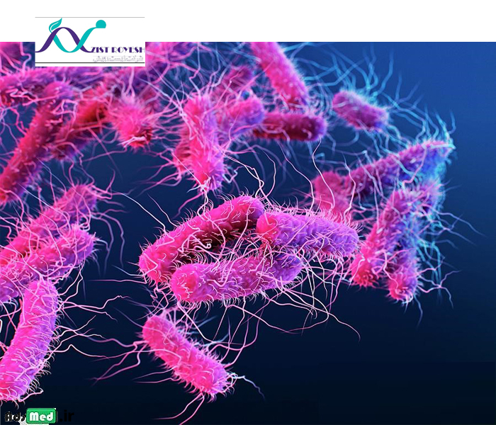 جدول انتروباکتریاسه گلاسه رنگی ۷۰*۵۰ زیست رویش