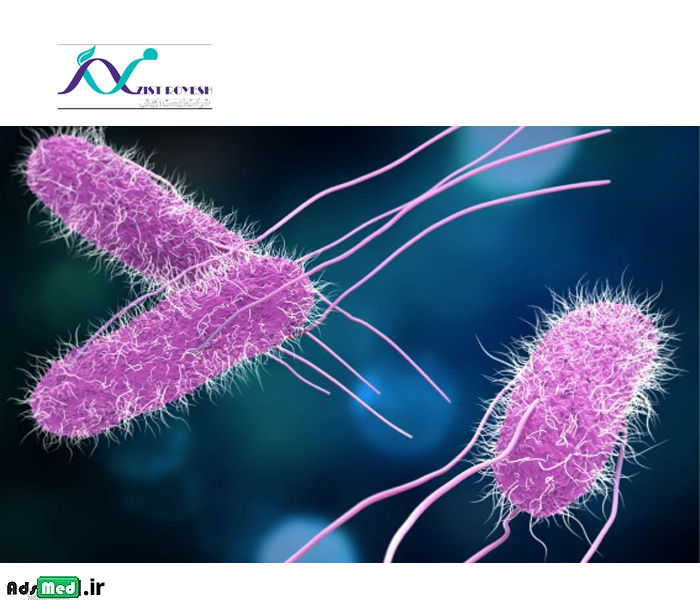 جدول انتروباکتریاسه A4 رنگی گلاسه زیست رویش